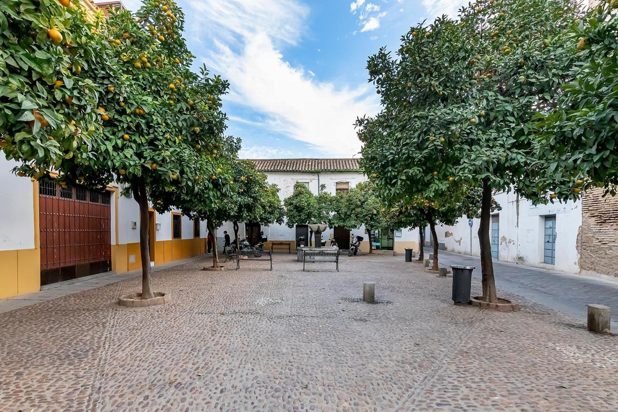 Apartamento Regina Cordova Esterno foto